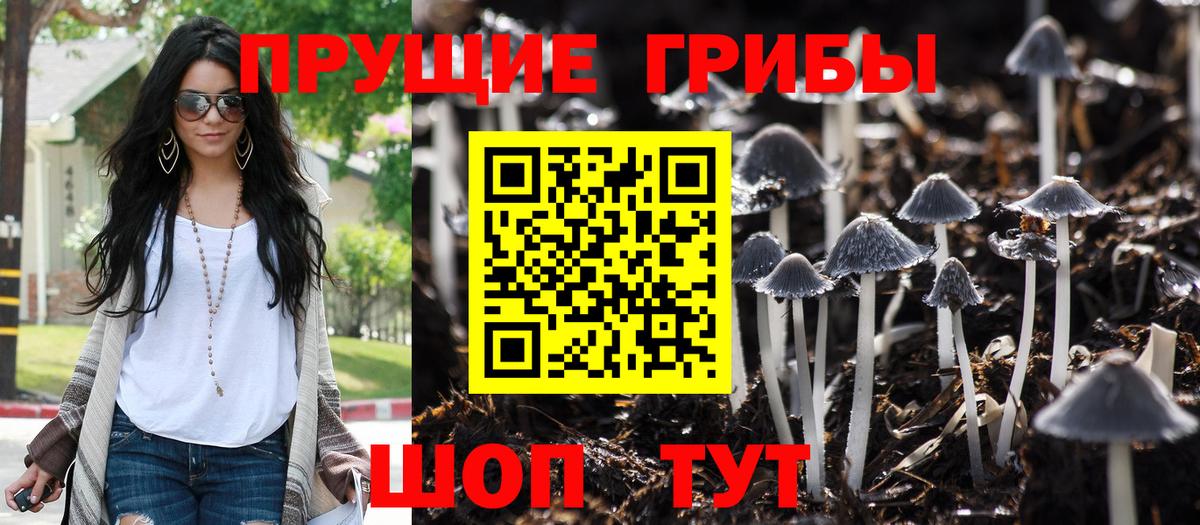 Галлюциногенные грибы Cubensis Нововоронеж
