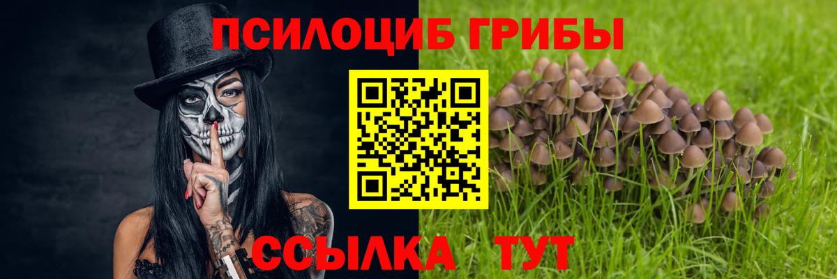 Псилоцибиновые грибы прущие грибы  Вход с VPN  Нововоронеж 